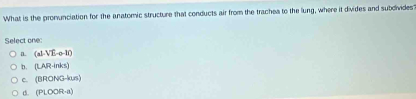 What is the pronunciation for the anatomic structure that conducts air from the trachea to the lung, where it divides and subdivides?
Select one:
a. (a1-VE-sigma -1i)
b. (LAR-inks)
C. (BRONG-kus)
d. (PLOOR-a)