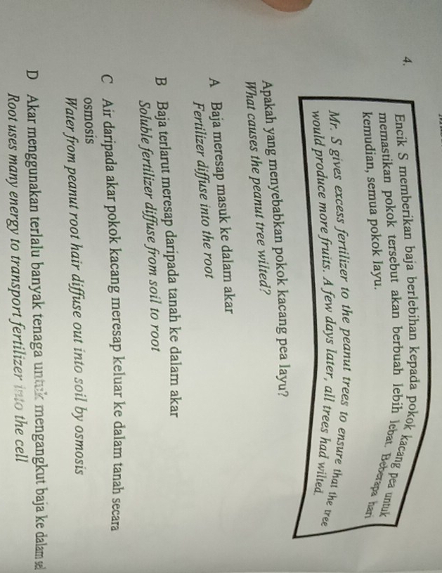 Encik S memberikan baja berlebihan kepada pokok kacang pea untuk
memastikan pokok tersebut akan berbuah lebih lebat. Beberapa har
kemudian, semua pokok layu.
Mr. S gives excess fertilizer to the peanut trees to ensure that the tree
would produce more fruits. A few days later, all trees had wilted.
Apakah yang menyebabkan pokok kacang pea layu?
What causes the peanut tree wilted?
A Baja meresap masuk ke dalam akar
Fertilizer diffuse into the root
B Baja terlarut meresap daripada tanah ke dalam akar
Soluble fertilizer diffuse from soil to root
C Air daripada akar pokok kacang meresap keluar ke dalam tanah secara
osmosis
Water from peanut root hair diffuse out into soil by osmosis
D Akar menggunakan terlalu banyak tenaga untuk mengangkut baja ke dalam sel
Root uses many energy to transport fertilizer into the cell