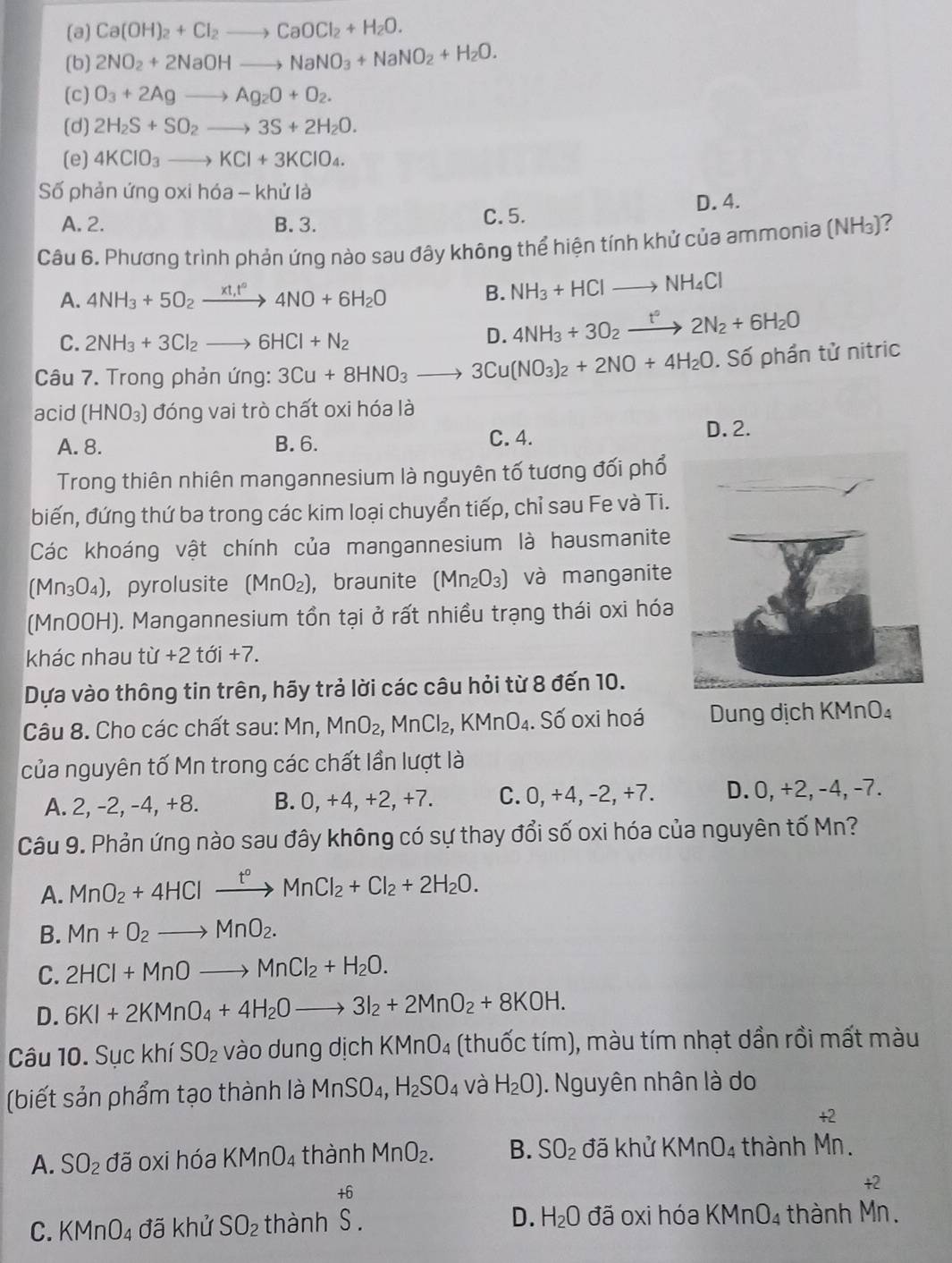 (a) Ca(OH)_2+Cl_2to CaOCl_2+H_2O.
(b) 2NO_2+2NaOHto NaNO_3+NaNO_2+H_2O.
(c) O_3+2Agto Ag_2O+O_2.
(d) 2H_2S+SO_2to 3S+2H_2O.
(e) 4KClO_3to KCl+3KClO_4.
Số phản ứng oxi hi 6a-khifla
D. 4.
A. 2. B. 3. C.5.
Câu 6. Phương trình phản ứng nào sau đây không thể hiện tính khử của ammonia (NH_3) ?
A. 4NH_3+5O_2xrightarrow xt_1t°4NO+6H_2O B. NH_3+HClto NH_4Cl
C. 2NH_3+3Cl_2to 6HCl+N_2
D. 4NH_3+3O_2xrightarrow t°2N_2+6H_2O
Câu 7. Trong phản ứng: 3Cu+8HNO_3to 3Cu(NO_3)_2+2NO+4H_2O. Số phần tử nitric
acid (HNO_3) đóng vai trò chất oxi hóa là
A. 8. B.6. C. 4. D. 2.
Trong thiên nhiên mangannesium là nguyên tố tương đối phổ
biến, đứng thứ ba trong các kim loại chuyển tiếp, chỉ sau Fe và Ti.
Các khoáng vật chính của mangannesium là hausmanite
(Mn_3O_4) ， pyrolusite (MnO_2) ， braunite (Mn_2O_3) và manganite
(MnOOH). Mangannesium tồn tại ở rất nhiều trạng thái oxi hóa
khác nhau t tif+2toi+7.
Dựa vào thông tin trên, hãy trả lời các câu hỏi từ 8 đến 10.
Câu 8. Cho các chất sau: Mn MnO_2,MnCl_2,KMnO_4. Số oxi hoá  Dung dịch KMnO₄
của nguyên tố Mn trong các chất lần lượt là
A. 2, -2, -4, +8. B. 0, +4, +2, +7. C. □ , +4, -2, +7. D. 0, +2, -4, -7.
Câu 9. Phản ứng nào sau đây không có sự thay đổi số oxi hóa của nguyên tố Mn?
A. MnO_2+4HClxrightarrow t°MnCl_2+Cl_2+2H_2O.
B. Mn+O_2to MnO_2.
C. 2HCI+MnOto MnCI_2+H_2O.
D. 6KI+2KMnO_4+4H_2Oto 3I_2+2MnO_2+8KOH.
Câu 10. Sục khí SO_2 vào dung dịch KMnO_4 (thuốc tím), màu tím nhạt dần rồi mất màu
(biết sản phẩm tạo thành là MnSO_4,H_2SO_4 và H_2O). Nguyên nhân là do
A. SO_2ddelta oxi hóa KMnO_4 thành MnO_2. B. SO_2 đã khử KMnO_4 thành beginarrayr +2 Mn.endarray
+6
C. KMnO_4 đã khử SO_2 thành S. đã oxi hóa KMnO_4 thành beginarrayr +2 Mn.endarray
D. H_2O