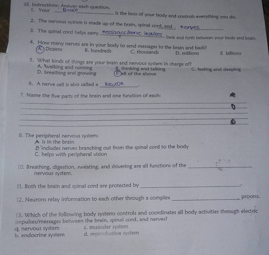 Instructions: Answer each question.
1. Your _Bra_ is the boss of your body and controls everything you do.
2. The nervous system is made up of the brain, spinal cord, and .
_
_
3. The spinal cord helps carry
back and forth between your body and brain.
4. How many nerves are in your body to send messages to the brain and back?
A. Dozens B. hundreds C. thousands D. millions E billions
5. What kinds of things are your brain and nervous system in charge of?
A. walking and running B. thinking and talking C. feeling and sleeping
D. breathing and growing E all of the above
6. A nerve cell is also called a _.
7. Name the five parts of the brain and one function of each:
_
_
_
_
_
8. The peripheral nervous system:
A is in the brain
B 'includes nerves branching out from the spinal cord to the body
C. helps with peripheral vision
10. Breathing, digestion, sweating, and shivering are all functions of the_
nervous system.
11. Both the brain and spinal cord are protected by _.
12. Neurons relay information to each other through a complex _process.
13. Which of the following body systems controls and coordinates all body activities through electric
impulses/messages between the brain, spinal cord, and nerves?
q nervous system c. muscular system
b. endocrine system d. reproductive system