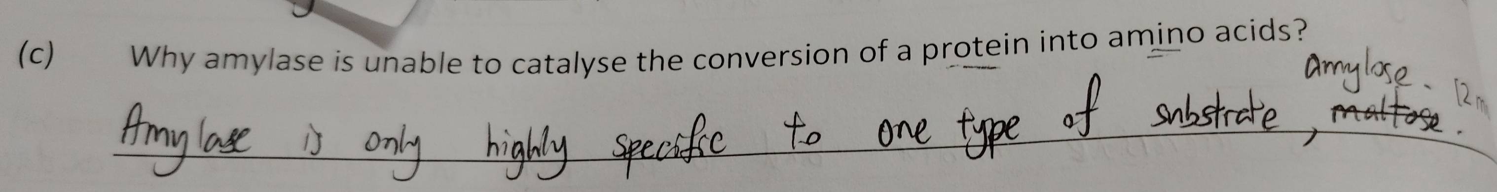 Why amylase is unable to catalyse the conversion of a protein into amino acids? 
_