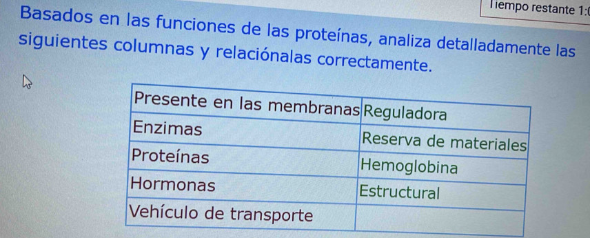 Tiempo restante 1: 
Basados en las funciones de las proteínas, analiza detalladamente las 
siguientes columnas y relaciónalas correctamente.