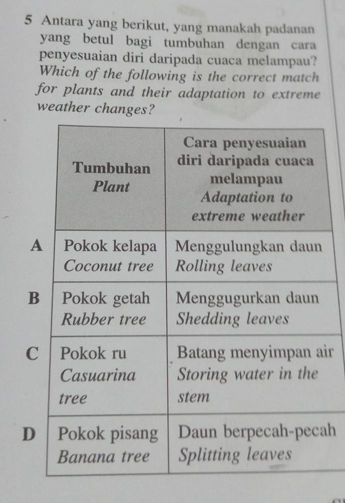 Antara yang berikut, yang manakah padanan
yang betul bagi tumbuhan dengan cara
penyesuaian diri daripada cuaca melampau?
Which of the following is the correct match
for plants and their adaptation to extreme
weather changes?
A
B
Cir
Dah