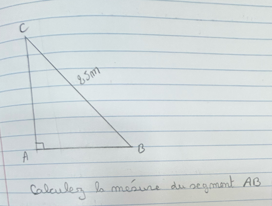 Calculey Do mesune dusegment AB