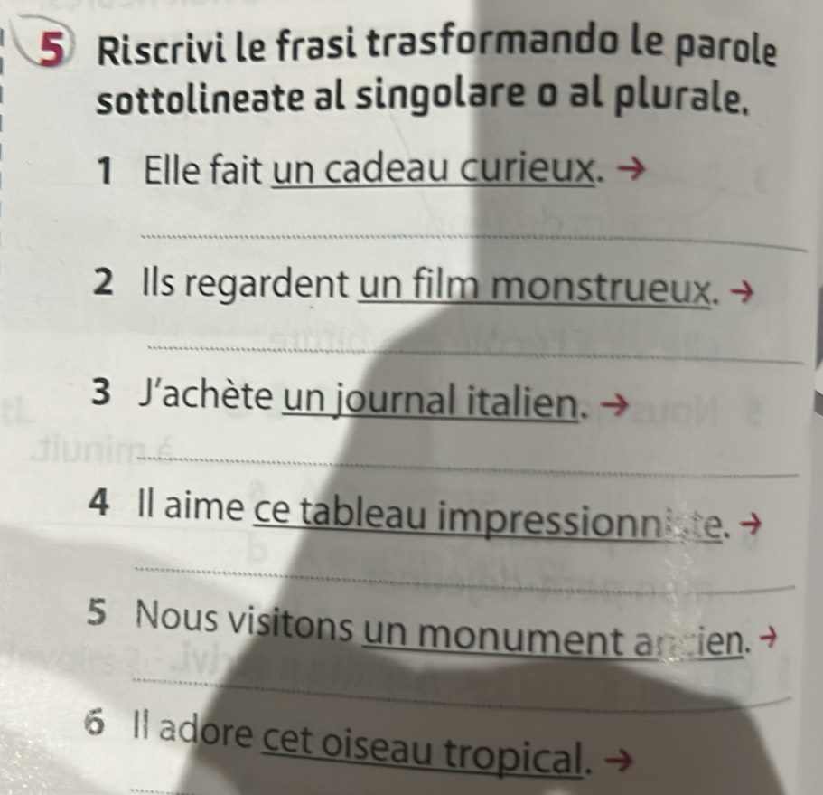 Riscrivi le frasi trasformando le parole 
sottolineate al singolare o al plurale. 
1 Elle fait un cadeau curieux. 
_ 
_ 
2 Ils regardent un film monstrueux. 
_ 
_ 
3 J'achète un journal italien. 
_ 
_ 
_ 
_ 
4 Il aime ce tableau impressionniste. 
_ 
_ 
_ 
5 Nous visitons un monument ancien. 
_ 
_ 
_ 
6 Il adore cet oiseau tropical.