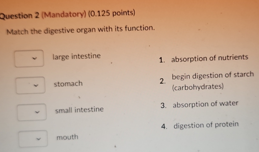 (Mandatory) (0.125 points)
Match the digestive organ with its function.
large intestine
1. absorption of nutrients
stomach 2. begin digestion of starch
(carbohydrates)
small intestine 3. absorption of water
4. digestion of protein
ν mouth