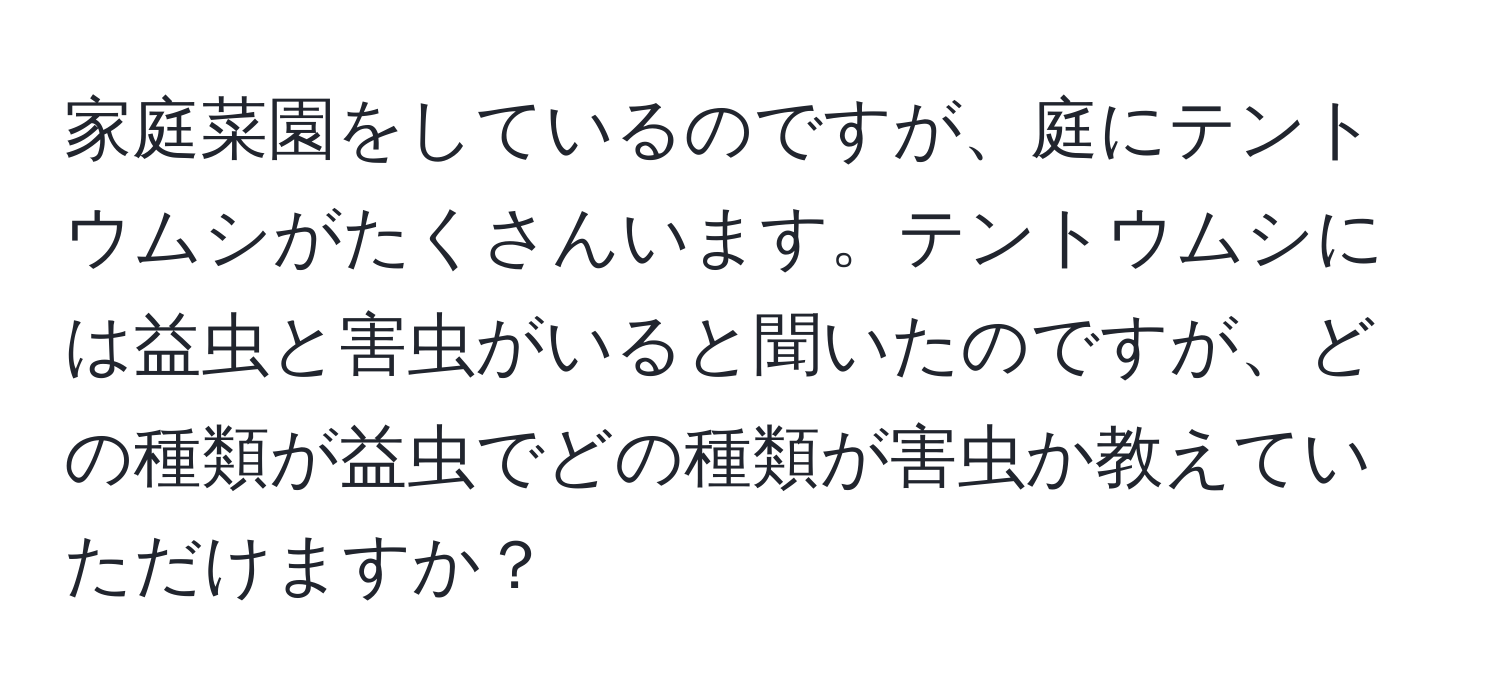 家庭菜園をしているのですが、庭にテントウムシがたくさんいます。テントウムシには益虫と害虫がいると聞いたのですが、どの種類が益虫でどの種類が害虫か教えていただけますか？