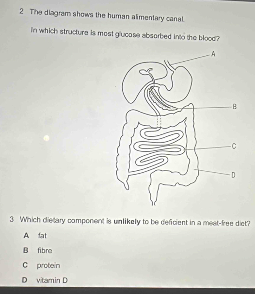 The diagram shows the human alimentary canal.
In which structure is most glucose absorbed into the blood?
3 Which dietary component is unlikely to be deficient in a meat-free diet?
A fat
B fibre
C protein
D vitamin D