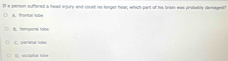 If a person suffered a head injury and could no longer hear; which part of his brain was probably damaged?
A frontal lobe
B. temporal lobe
C. parietal lobe
D. occipital iobe