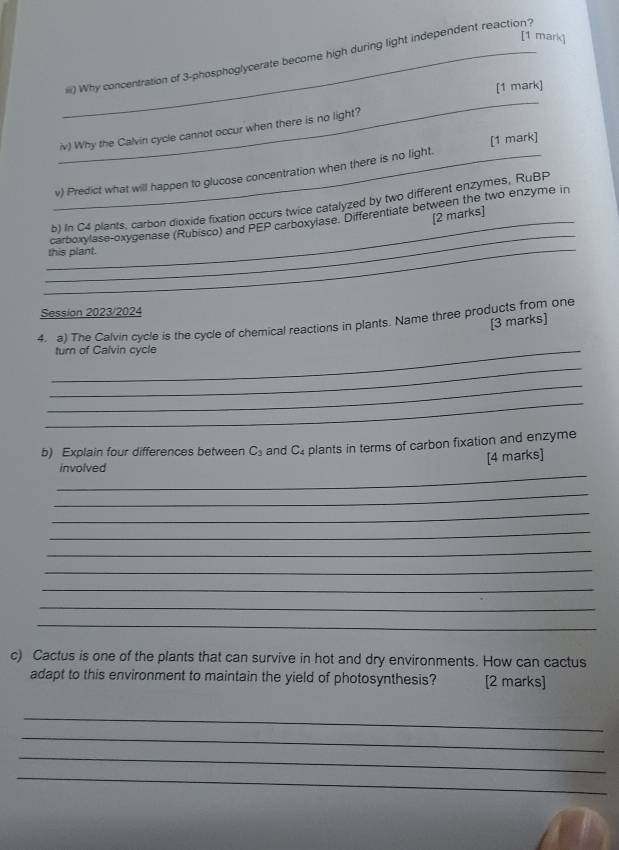 iii) Why concentration of 3 -phosphoglycerate become high during light independent reaction? 
[1 mark] 
_ 
iv) Why the Calvin cycle cannot occur when there is no light? 
_v) Predict what will happen to glucose concentration when there is no light. [1 mark] 
_ 
b) In C4 plants, carbon dioxide fixation occurs twice catalyzed by two different enzymes, RuBP 
[2 marks] 
_ 
_ 
carboxylase-oxygenase (Rubisco) and PEP carboxylase. Differentiate between the two enzyme in 
this plant. 
Session 2023/2024 
[3 marks] 
4. a) The Calvin cycle is the cycle of chemical reactions in plants. Name three products from one 
_turn of Calvin cycle 
_ 
_ 
_ 
b) Explain four differences between C_3 and C plants in terms of carbon fixation and enzyme 
[4 marks] 
_ 
involved 
_ 
_ 
_ 
_ 
_ 
_ 
_ 
_ 
c) Cactus is one of the plants that can survive in hot and dry environments. How can cactus 
adapt to this environment to maintain the yield of photosynthesis? [2 marks] 
_ 
_ 
_ 
_