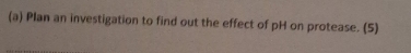 Plan an investigation to find out the effect of pH on protease. (5)