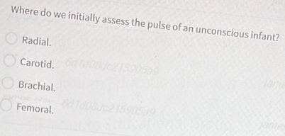 Where do we initially assess the pulse of an unconscious infant?
Radial.
Carotid.
Brachial.
Femoral. 150