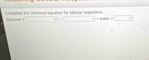 Complete the chemical equation for cellular respiration. 
Glucose □ to □ +water +□