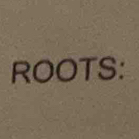 ROOTS: