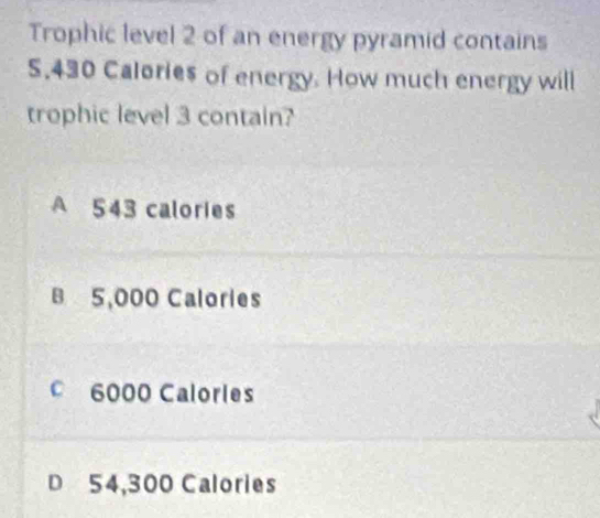 Trophic level 2 of an energy pyramid contains
5.430 Calories of energy. How much energy will
trophic level 3 contain?
A 543 calories
B 5,000 Calories
© 6000 Calories
D 54,300 Calories