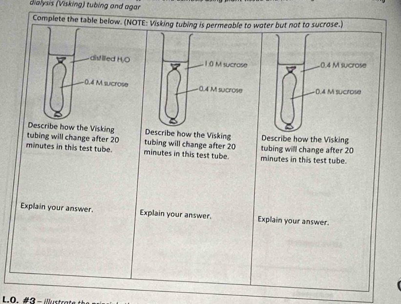 dialysis (Visking) tubing and agar 
Complete the tableE: Visking tubing is permeable to water but not to sucrose.) 
Describe how the Visking Describe how the Visking Describe how the Visking 
tubing will change after 20 tubing will change after 20 tubing will change after 20
minutes in this test tube. minutes in this test tube. minutes in this test tube. 
Explain your answer. Explain your answer. Explain your answer. 
L.O.#3 - illustra t th