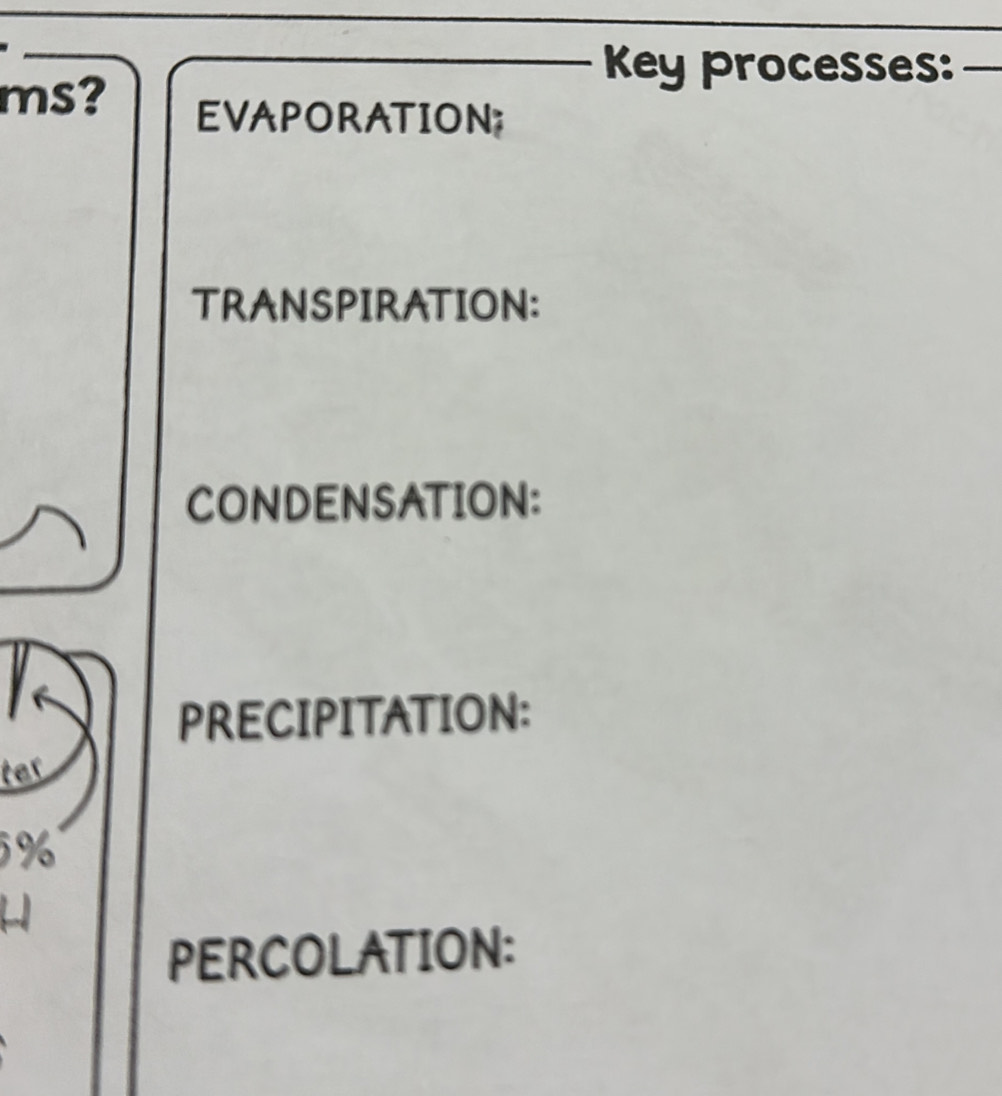 Key processes:_ 
ms? EVAPORATION; 
TRANSPIRATION: 
CONDENSATION: 
PRECIPITATION: 
ter
5%
PERCOLATION: