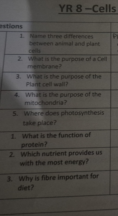 YR 8 -Cells 
esti
2
3