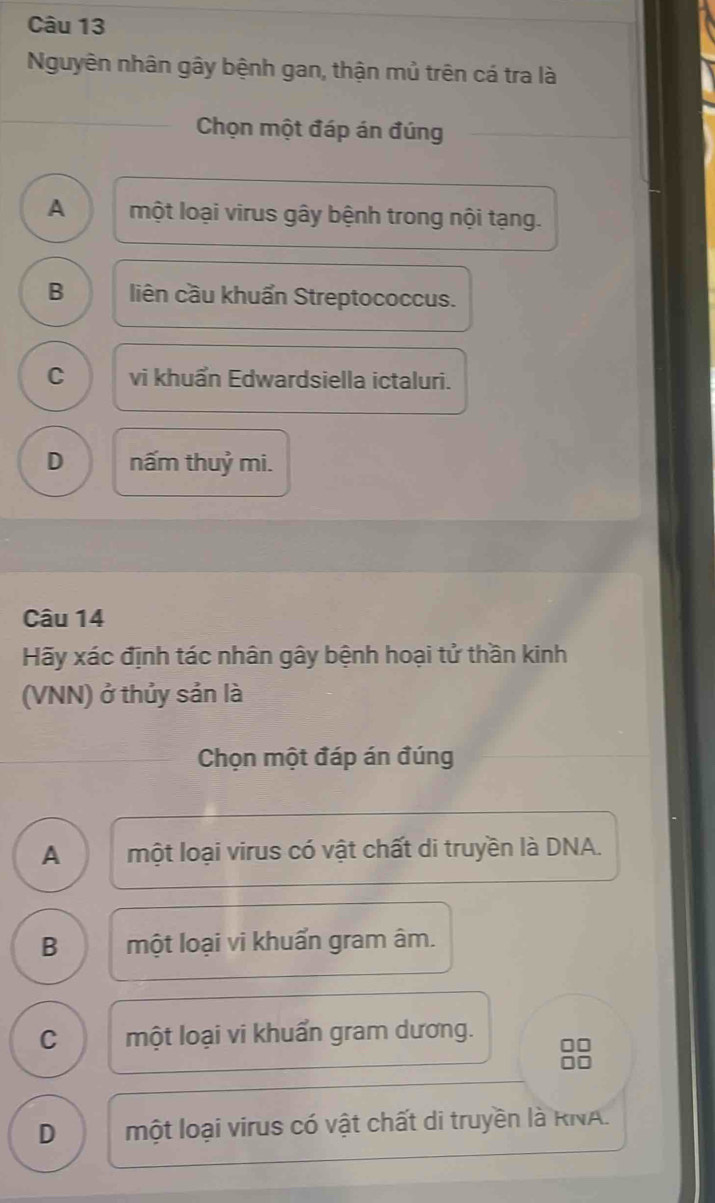 Nguyên nhân gây bệnh gan, thận mủ trên cá tra là
Chọn một đáp án đúng
A một loại virus gây bệnh trong nội tạng.
B liên cầu khuẩn Streptococcus.
C vi khuẩn Edwardsiella ictaluri.
D nấm thuỷ mi.
Câu 14
Hãy xác định tác nhân gây bệnh hoại tử thần kinh
(VNN) ở thủy sản là
Chọn một đáp án đúng
A một loại virus có vật chất di truyền là DNA.
B một loại vi khuẩn gram âm.
C một loại vi khuẩn gram dương.
33
D một loại virus có vật chất di truyền là RNA.