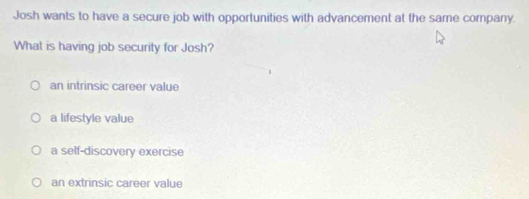 Josh wants to have a secure job with opportunities with advancement at the same company.
What is having job security for Josh?
an intrinsic career value
a lifestyle value
a self-discovery exercise
an extrinsic career value