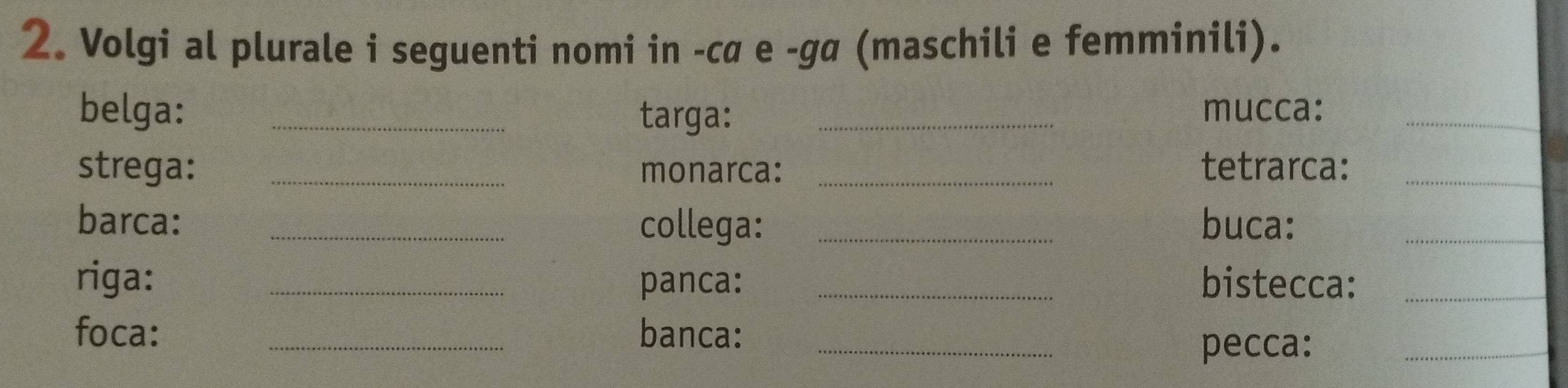 Volgi al plurale i seguenti nomi in -cα e -gã (maschili e femminili). 
belga: _targa: _mucca:_ 
strega: _monarca: _tetrarca:_ 
barca: _collega: _buca:_ 
riga: _panca: _bistecca:_ 
foca: _banca:_ 
pecca:_