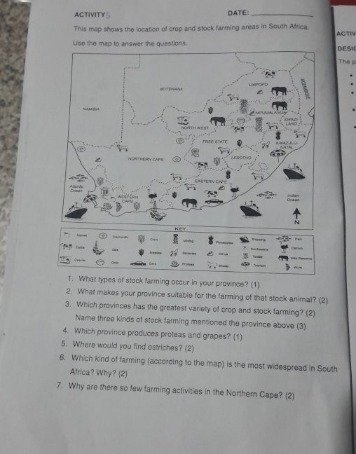 ACTIVITY5 DATE:_ 
This map shows the location of crop and stock farming areas in South Africa. ACTIV 
DESI 
The p 
stock farming occur in your province? (1) 
2. What makes your province suitable for the farming of that stock animal? (2) 
3. Which provinces has the greatest variety of crop and stock farming? (2) 
Name three kinds of stock farming mentioned the province above (3) 
4. Which province produces proteas and grapes? (1) 
5. Where would you find ostriches? (2) 
6. Which kind of farming (according to the map) is the most widespread in South 
Africa? Why? (2) 
7. Why are there so few farming activities in the Northern Cape? (2)