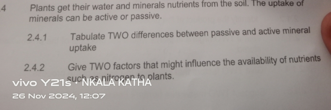 Plants get their water and minerals nutrients from the soil. The uptake of 
minerals can be active or passive. 
2.4.1 Tabulate TWO differences between passive and active mineral 
uptake 
2.4.2 Give TWO factors that might influence the availability of nutrients 
vive Y21s4 hpanirogan to plants. 
26 Nov 2024, 12:07