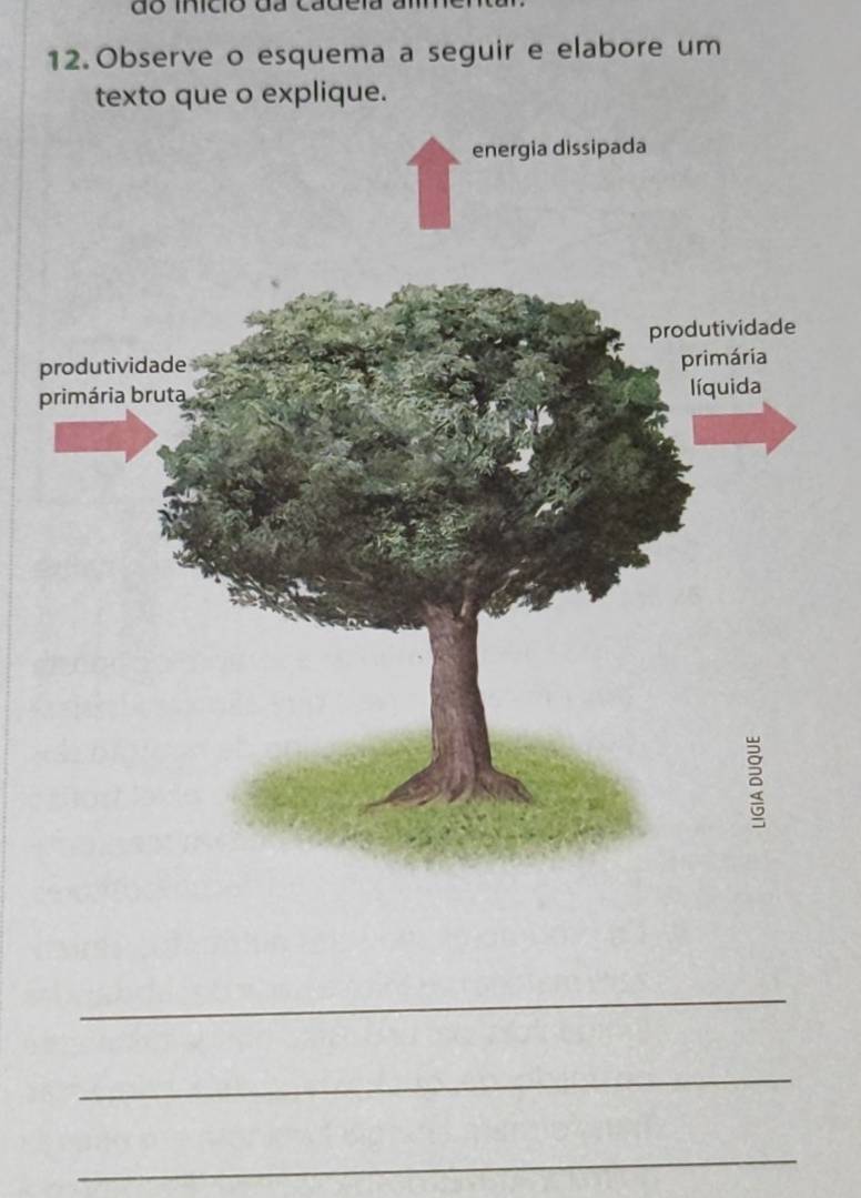 do início da cadeia 
12. Observe o esquema a seguir e elabore um 
texto que o explique. 
p 
_ 
_ 
_