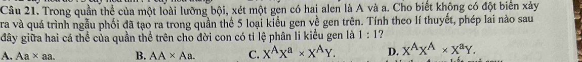 Trong quần thể của một loài lưỡng bội, xét một gen có hai alen là A và a. Cho biết không có đột biển xảy
ra và quá trình ngẫu phối đã tạo ra trong quần thể 5 loại kiểu gen về gen trên. Tính theo lí thuyết, phép lai nào sau
đây giữa hai cá thể của quần thể trên cho đời con có tỉ lệ phân li kiểu gen là 1:1 ?
A. Aa* aa. B. AA* Aa. C. X^AX^a* X^AY. D. X^AX^A* X^aY.