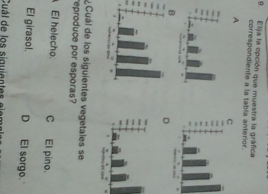 Elija la opción que muestra la gráfica
correspondiente a la tabla anterior.
A
D
s
¿Cuál de los siguientes vegetales se
reproduce por esporas?
El helecho. C El pino.
El girasol. D El sorgo.
Cuál de los siguientes elem