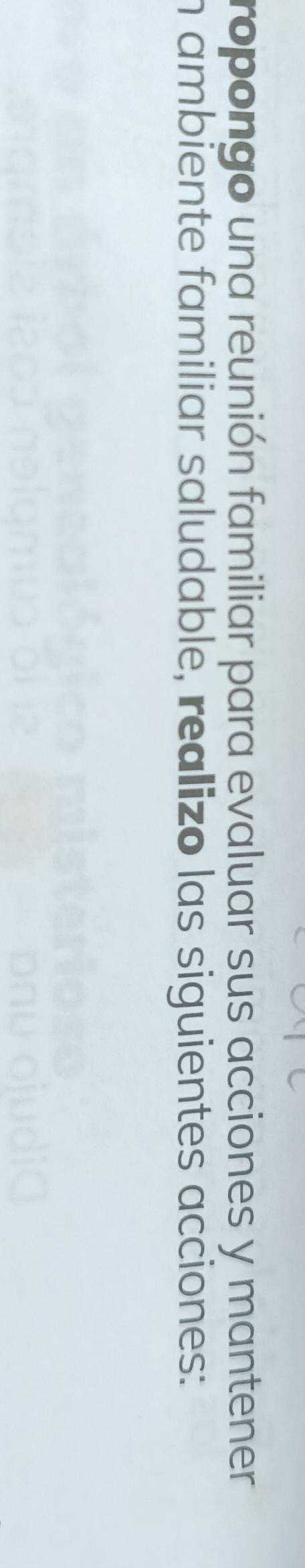 ropongo una reunión familiar para evaluar sus acciones y mantener 
n ambiente familiar saludable, realizo las siguientes acciones:
