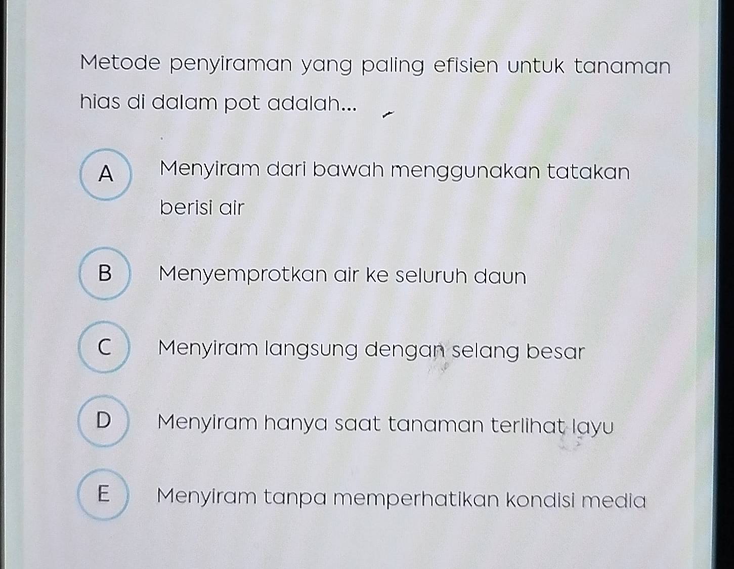 Metode penyiraman yang paling efisien untuk tanaman
hias di dalam pot adalah...
A Menyiram dari bawah menggunakan tatakan
berisi air
B Menyemprotkan air ke seluruh daun
C Menyiram langsung dengan selang besar
D Menyiram hanya saat tanaman terlihat layu
E Menyiram tanpa memperhatikan kondisi media