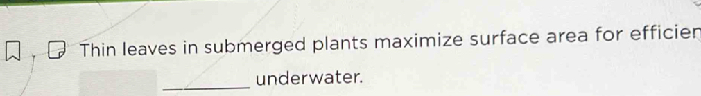 Thin leaves in submerged plants maximize surface area for efficien 
_ 
underwater.