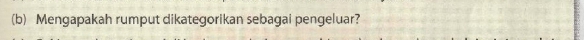 Mengapakah rumput dikategorikan sebagai pengeluar?