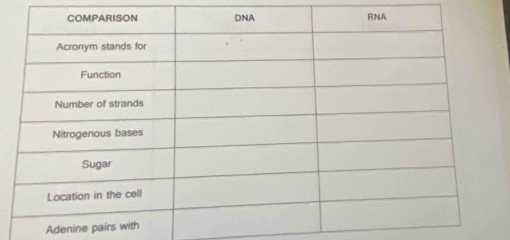 Adenine pair