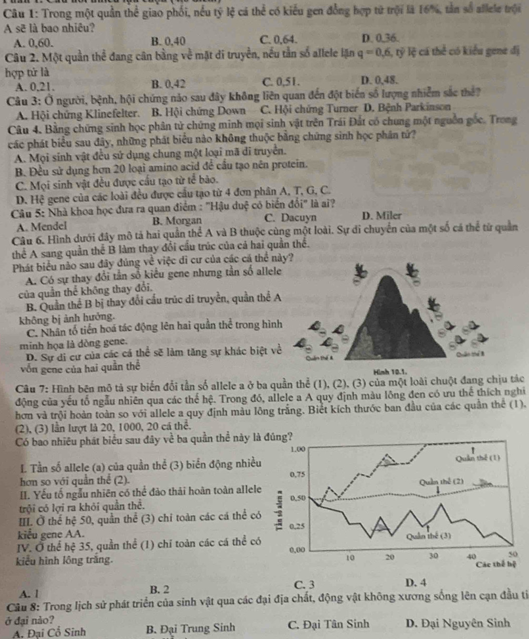 Trong một quần thể giao phối, nều tỷ lệ cá thể có kiểu gen đồng hợp từ trội là 16%, tần số allele trội
A sẽ là bao nhiêu?
A. 0,60. B. 0,40 C. 0,64. D. 0,36.
Câu 2. Một quần thể đang cân bằng về mặt di truyền, nều tần số allele lặn q=0,6,ry^2 lệ cá thể có kiểu gene đị
hợp tử là
A. 0.21. B. 0,42 C. 0,51. D. 0,48.
Câu 3: Ở người, bệnh, hội chứng nảo sau đây không liên quan đến đột biển số lượng nhiễm sắc thế?
A. Hội chứng Klinefelter. B. Hội chứng Down C. Hội chứng Turner D. Bệnh Parkinson
Câu 4. Bằng chứng sinh học phân tử chứng minh mọi sinh vật trên Trái Đất có chung một nguồn gốc. Trong
các phát biểu sau đây, những phát biểu nào không thuộc bằng chứng sinh học phân tứ?
A. Mọi sinh vật đều sử dụng chung một loại mã di truyền.
B. Đều sử dụng hơn 20 loại amino acid đề cầu tạo nên protein.
C. Mọi sinh vật đều được cấu tạo từ tế bão.
D. Hệ gene của các loài đều được cầu tạo từ 4 đơn phân A, T, G, C.
Câu 5: Nhà khoa học đưa ra quan điểm : "Hậu duệ có biến đổi" là ai?
A. Mendel B. Morgan C. Dacuyn D. Miler
Câu 6. Hình dưới đây mô tả hai quần thể A và B thuộc cùng một loài. Sự đi chuyển của một số cá thể từ quần
thể A sang quần thể B làm thay đổi cầu trúc của cả hai quần thể.
Phát biểu nào sau đây đúng về việc di cư của các cá thể này?
A. Có sự thay đổi tần số kiểu gene nhưng tần số allele
của quần thể không thay đổi.
B. Quần thể B bị thay đổi cấu trúc di truyền, quần thể A
không bị ảnh hưởng.
C. Nhân tổ tiền hoá tác động lên hai quần thể trong hình
minh họa là dòng gene.
D. Sự di cư của các cá thể sẽ làm tăng sự khác biệt về Thêm thế 8
vốn gene của hai quần thể
Hình 10.1,
Câu 7: Hình bên mô tả sự biến đổi tần số allele a ở ba quần thể (1), (2), (3) của một loài chuột đang chịu tác
động của yếu tổ ngẫu nhiên qua các thế hệ. Trong đó, allele a A quy định màu lông đen có ưu thể thích nghi
hơn và trội hoàn toàn so với allele a quy định màu lông trắng. Biết kích thước ban đầu của các quần thể (1).
(2), (3) lần lượt là 20, 1000, 20 cá thể.
Có bao nhiêu phát biểu sau đây về ba quần thể này 
L Tần số allele (a) của quần thể (3) biển động nhiề
hơn so với quần thể (2).
II. Yếu tố ngẫu nhiên có thể đào thải hoàn toàn alle
trội có lợi ra khỏi quần thể. 
II. Ở thể hệ 50, quần thể (3) chỉ toàn các cá thể c
kiểu gene AA.
IV. Ở thể hệ 35, quần thể (1) chỉ toàn các cá thể c
kiểu hình lông trắng.
C. 3
A. l B. 2 D. 4
Câu 8: Trong lịch sử phát triển của sinh vật qua các đại địa chất, động vật không xương sống lên cạn đầu ti
ở đại nào? D. Đại Nguyên Sinh
A. Đại Cổ Sinh B. Đại Trung Sinh C. Đại Tân Sinh