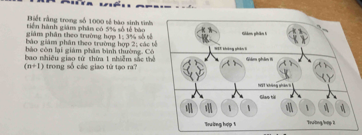 Biết rằng trong số 1000 tế bào sịnh tinh 
tiến hành giảm phân có 5% số tế bào 
giảm phân theo trường hợp 1;3% 6 số tế 
bào giảm phân theo trường hợp 2; các t 
bào còn lại giảm phân bình thường. Có 
bao nhiêu giao tử thừa 1 nhiễm sắc thể
(n+1) trong số các giao tử tạo ra?