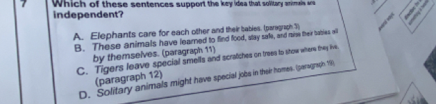 Which of these sentences support the key idea that solitary animals are
independent?
wrd wy
A. Elephants care for each other and their babies. (paragraph 3)
B. These animals have learned to find food, stay safe, and raise their bables will
by themselves. (paragraph 11)
C. Tigers leave special smells and scratches on trees to show where they live.
(paragraph 12)
D. Solitary animals might have special jobs in their homes. (peragraph. 19)