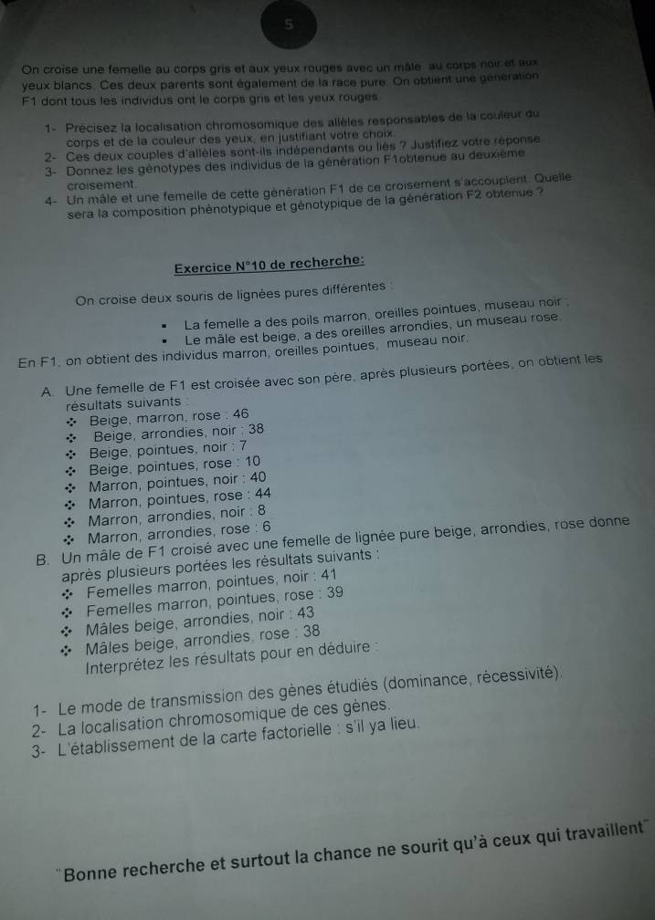 On croise une femelle au corps gris et aux yeux rouges avec un mâle au corps noir et aux
yeux blancs. Ces deux parents sont également de la race pure. On obtient une génération
F1 dont tous les individus ont le corps gris et les yeux rouges
1- Précisez la localisation chromosomique des allèles responsables de la couleur du
corps et de la couleur des yeux, en justifiant votre choix
2- Ces deux couples d'allèles sont-ils indépendants ou liés ? Justifiez votre réponse
3- Donnez les génotypes des individus de la génération F1obtenue au deuxième
croisement
4- Un mâle et une femelle de cette génération F1 de ce croisement s'accouplent. Quelle
sera la composition phénotypique et génotypique de la génération F2 obtenue ?
Exercice N° 10 de recherche:
On croise deux souris de lignées pures différentes :
La femelle a des poils marron, oreilles pointues, museau noir.
Le mâle est beige, a des oreilles arrondies, un museau rose.
En F1, on obtient des individus marron, oreilles pointues, museau noir.
A. Une femelle de F1 est croisée avec son père, après plusieurs portées, on obtient les
résultats suivants 
Beige, marron, rose : 46
Beige, arrondies, noir : 38
Beige, pointues, noir : 7
Beige, pointues, rose : 10
Marron, pointues, noir : 40
Marron, pointues, rose : 44
Marron, arrondies, noir : 8
Marron, arrondies, rose : 6
B. Un mâle de F1 croisé avec une femelle de lignée pure beige, arrondies, rose donne
après plusieurs portées les résultats suivants :
* Femelles marron, pointues, noir : 41
Femelles marron, pointues, rose : 39
Mâles beige, arrondies, noir : 43
Mâles beige, arrondies, rose : 38
Interprétez les résultats pour en déduire :
1- Le mode de transmission des gènes étudiés (dominance, récessivité)
2- La localisation chromosomique de ces gènes.
3- L'établissement de la carte factorielle : s'il ya lieu.
'Bonne recherche et surtout la chance ne sourit qu'à ceux qui travaillent'