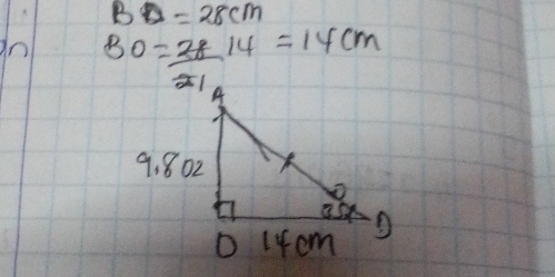 BD=28cm
an BO= 28/21 14=14cm