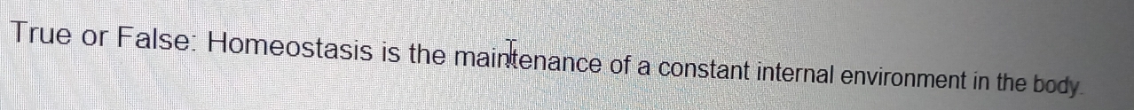 True or False: Homeostasis is the maintenance of a constant internal environment in the body
