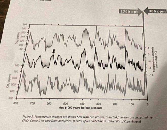 386 ppm 
Figure 1. Temperature changes are shown here with two proxies, collected from ice core analysis of the 
EPICA Dome C ice core from Antarctica. (Centre of Ice and Climate, University of Copenhagen)