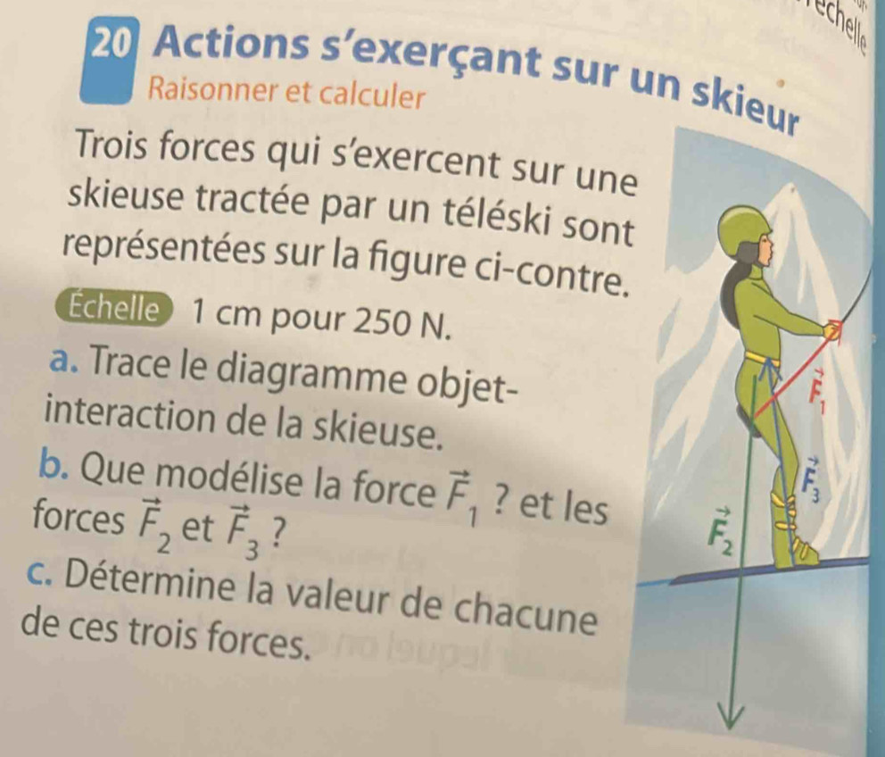 Actions s'exerçant sur un ski
Raisonner et calculer
Trois forces qui s'exercent sur une
skieuse tractée par un téléski sont
représentées sur la figure ci-contre.
Echelle 1 cm pour 250 N.
a. Trace le diagramme objet-
interaction de la skieuse.
b. Que modélise la force vector F_1 ? et les
forces vector F_2 et vector F_3 ?
c. Détermine la valeur de chacune
de ces trois forces.