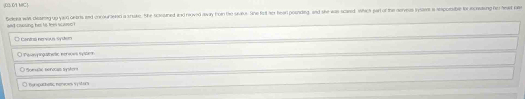(03 01 MC)
Selena was cleaning up yard debris and encountered a snake. She screamed and moved inway from the snake. She felt her heart pounding, and she was scared. Which part of the nervous lystem is responsible for increasing her heart rate
and causing her to teel scared?
〇 Central nervous system
〇 Parasympathetic nervous system
Somatic nervous system
O Sympathetic nervous system