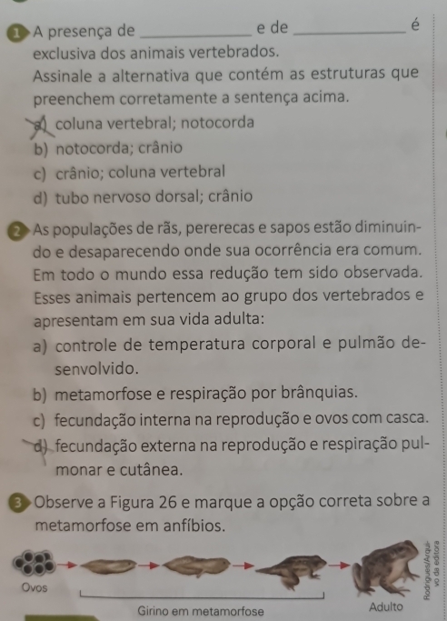 ① A presença de _e de _é
exclusiva dos animais vertebrados.
Assinale a alternativa que contém as estruturas que
preenchem corretamente a sentença acima.
a ) coluna vertebral; notocorda
b) notocorda; crânio
c) crânio; coluna vertebral
d) tubo nervoso dorsal; crânio
2 As populações de rãs, pererecas e sapos estão diminuin-
do e desaparecendo onde sua ocorrência era comum.
Em todo o mundo essa redução tem sido observada.
Esses animais pertencem ao grupo dos vertebrados e
apresentam em sua vida adulta:
a) controle de temperatura corporal e pulmão de-
senvolvido.
b) metamorfose e respiração por brânquias.
c) fecundação interna na reprodução e ovos com casca.
d) fecundação externa na reprodução e respiração pul-
monar e cutânea.
3 Observe a Figura 26 e marque a opção correta sobre a
metamorfose em anfíbios.
Ovos
3 8
Girino em metamorfose Adulto