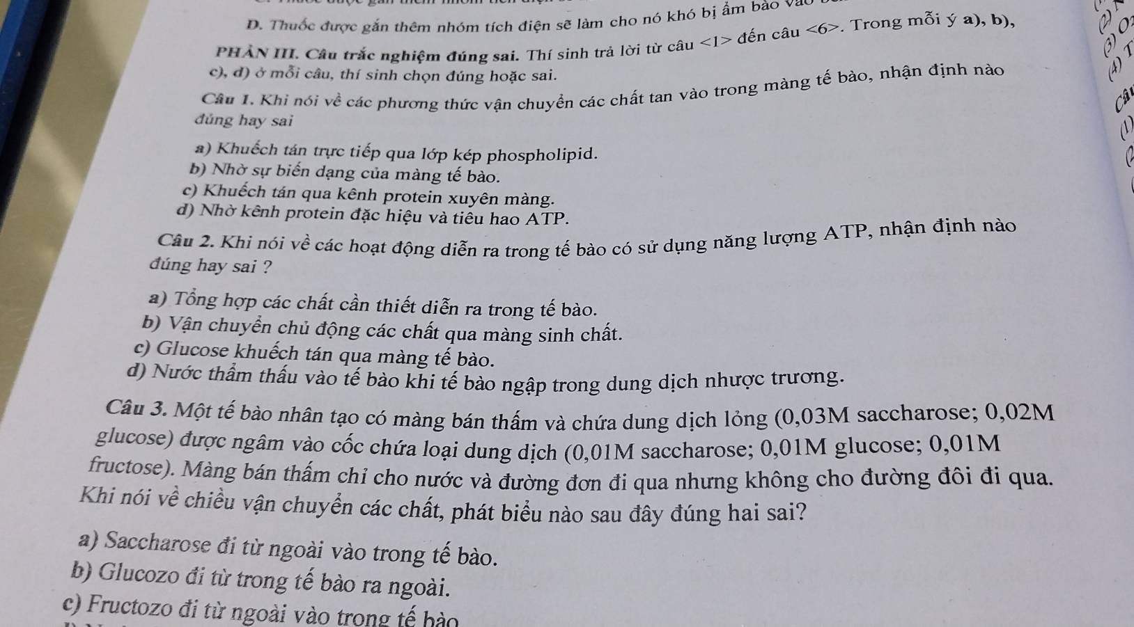 Thuốc được gắn thêm nhóm tích điện sẽ làm cho nó khó bị ẩm bào và
PHẢN III. Câu trắc nghiệm đúng sai. Thí sinh trả lời từ câu <1> đến câu ∠ 6>. Trong mỗi ý a), b),
a
③
c), đ) ở mỗi câu, thí sinh chọn đúng hoặc sai.
Câu 1. Khi nói về các phương thức vận chuyển các chất tan vào trong màng tế bào, nhận định nào A)
C
đúng hay sai
A
a) Khuếch tán trực tiếp qua lớp kép phospholipid.
b) Nhờ sự biến dạng của màng tế bào.
c) Khuếch tán qua kênh protein xuyên màng.
d) Nhờ kênh protein đặc hiệu và tiểu hao ATP.
Câu 2. Khi nói về các hoạt động diễn ra trong tế bào có sử dụng năng lượng ATP, nhận định nào
dúng hay sai ?
a) Tổng hợp các chất cần thiết diễn ra trong tế bào.
b) Vận chuyển chủ động các chất qua màng sinh chất.
c) Glucose khuếch tán qua màng tế bào.
d) Nước thẩm thấu vào tế bào khi tế bào ngập trong dung dịch nhược trương.
Câu 3. Một tế bào nhân tạo có màng bán thấm và chứa dung dịch lỏng (0,03M saccharose; 0,02M
glucose) được ngâm vào cốc chứa loại dung dịch (0,01M saccharose; 0,01M glucose; 0,01M
fructose). Màng bán thấm chỉ cho nước và đường đơn đi qua nhưng không cho đường đôi đi qua.
Khi nói về chiều vận chuyển các chất, phát biểu nào sau đây đúng hai sai?
a) Saccharose đi từ ngoài vào trong tế bào.
b) Glucozo đi từ trong tế bào ra ngoài.
c) Fructozo đi từ ngoài vào trong tế hào