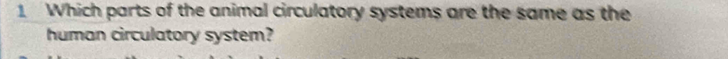 Which parts of the animal circulatory systems are the same as the 
human circulatory system?