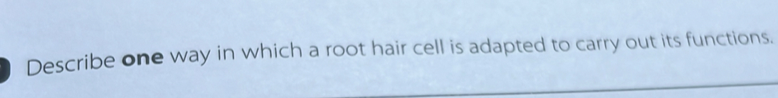 Describe one way in which a root hair cell is adapted to carry out its functions.