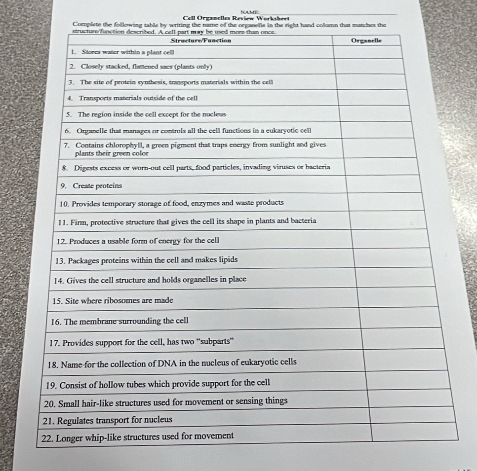 NAME: 
Cell Organelles Review Worksheet