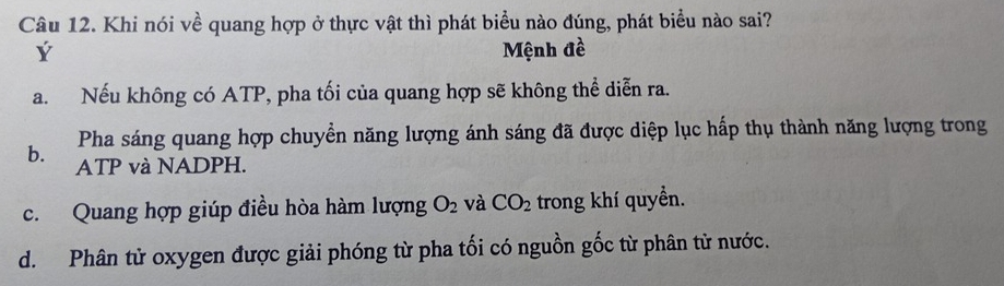 Khi nói về quang hợp ở thực vật thì phát biểu nào đúng, phát biểu nào sai?
Ý Mệnh đề
a. Nếu không có ATP, pha tối của quang hợp sẽ không thể diễn ra.
Pha sáng quang hợp chuyền năng lượng ánh sáng đã được diệp lục hấp thụ thành năng lượng trong
b. ATP và NADPH.
c. Quang hợp giúp điều hòa hàm lượng O_2 và CO_2 trong khí quyền.
d. Phân tử oxygen được giải phóng từ pha tối có nguồn gốc từ phân tử nước.